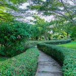 CrownCity Resort company logo