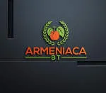 Deserialize company logo