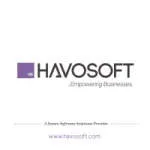 Havosoft international Limited company logo
