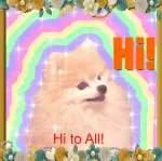 Hi-Deas Expedient Solutions Limited company logo