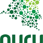Nuru Nigeria company logo