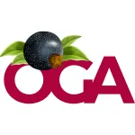 Oga Accountant Business Services company logo