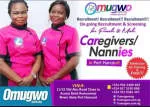 Omugwo.com.ng Services Limited company logo