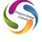 Pinpoint Global Consult company logo