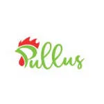 Pullus Africa Solutions company logo