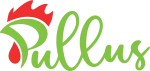 Pullus Africa company logo