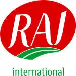 RAJ Consulting company logo