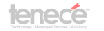 Tenece Professional Services company logo