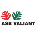 ASB Valiant Company Limited company logo