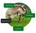 Agriprojects Concept International Ltd. company logo