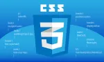 CSS Group, Nigeria company logo