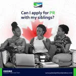 Jadesteph T And T Limited company logo