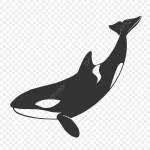 Orca Communications company logo