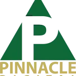 Pinnacle Digital Resources Limited company logo