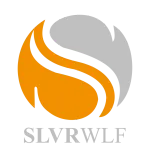 Slvr Wlf Digitale Limited company logo