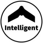 Soft Intelligent Machines company logo