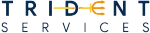 Trydnt Services company logo