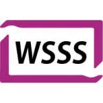 Wellspring School Support Systems company logo