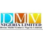 DMV Nigeria Limited company logo