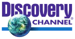 Discovery Sense Travels and Logistics company logo
