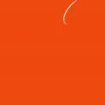 MYGEECS company logo