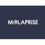 Molaprise company logo