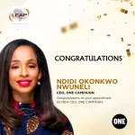 Nwodi Daniel company logo