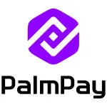 Palmpay Limited company logo