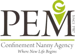 Pem Security Services company logo