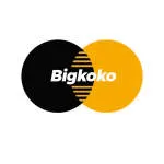 Bigkoko Global Services Limited company logo