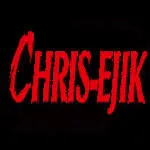 Chris Ejik Group Of Companies company logo