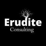 Erudite Consulting company logo