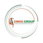 Ginos Ventures Limited company logo