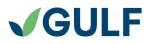 Guufs International company logo