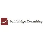 NainBridge Consult Ltd company logo