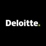 Deloitte Human Capital Consulting company logo