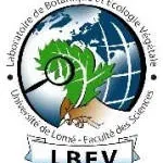 Lbev Nigeria company logo
