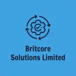 BRICORE SOLUTION company logo