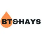 BT & Hays Consulting company logo