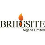 Bridgsite Nigeria Limited company logo