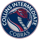 Collins American International Academy company logo