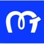 MTestHub Global company logo