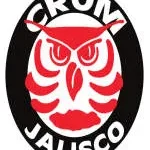 Crom45 LTD. company logo