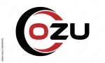 Orizu & Company company logo