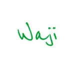 Waji Limited company logo